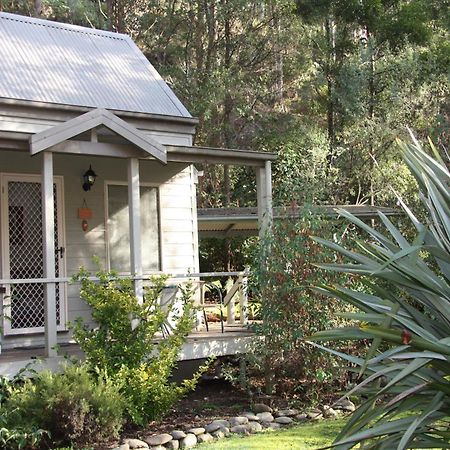 Shady Brook Cottages Harrietville Extérieur photo
