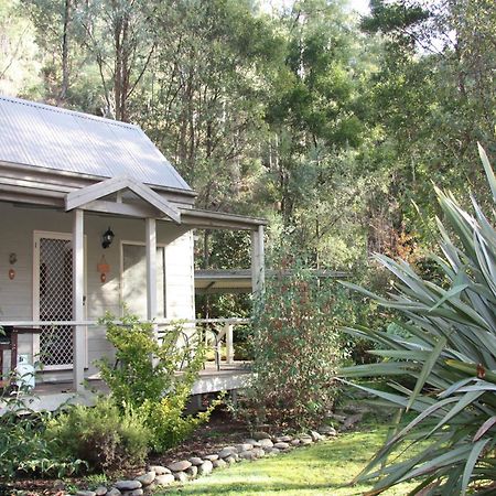 Shady Brook Cottages Harrietville Extérieur photo
