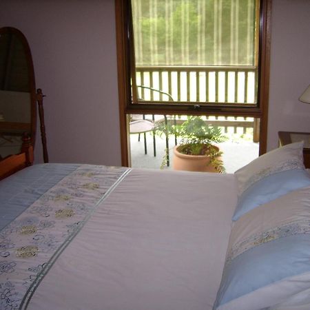Shady Brook Cottages Harrietville Extérieur photo