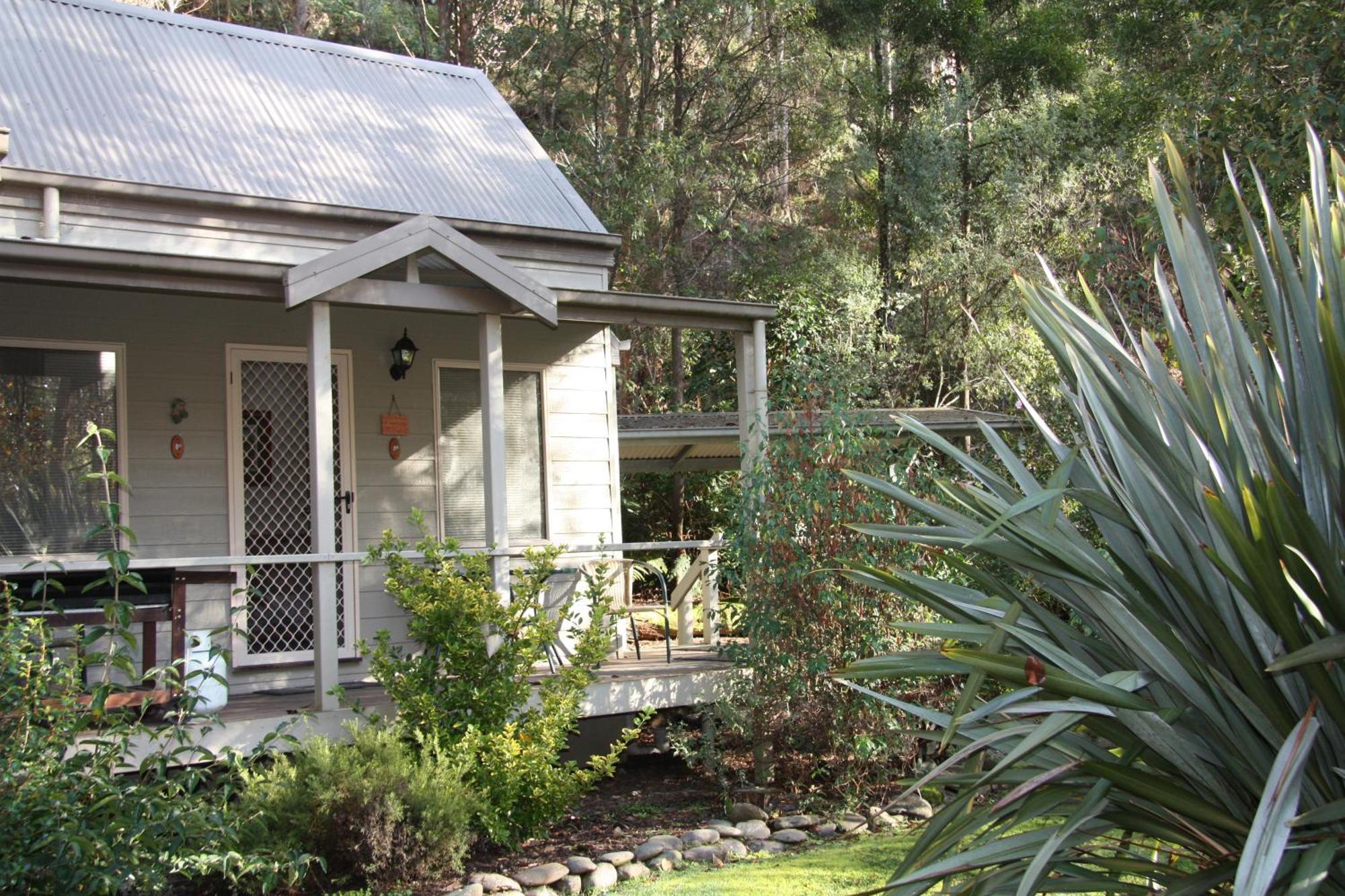Shady Brook Cottages Harrietville Extérieur photo