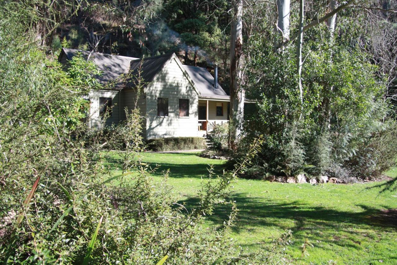 Shady Brook Cottages Harrietville Extérieur photo