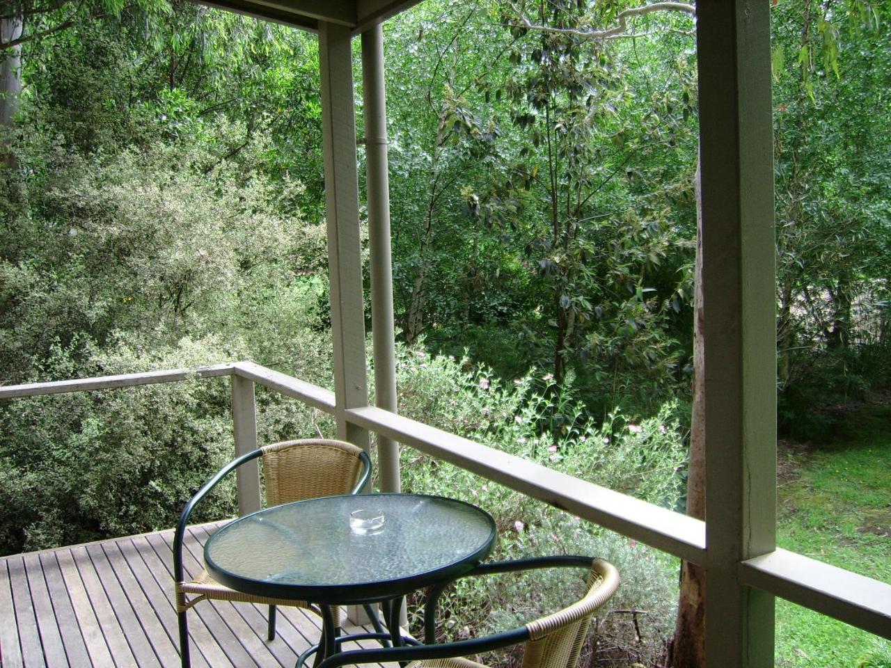 Shady Brook Cottages Harrietville Extérieur photo