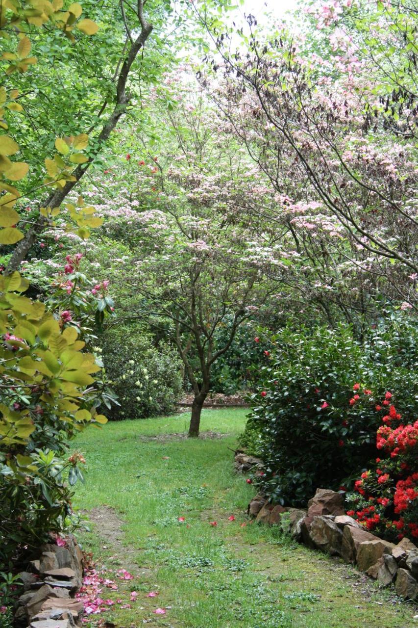 Shady Brook Cottages Harrietville Extérieur photo
