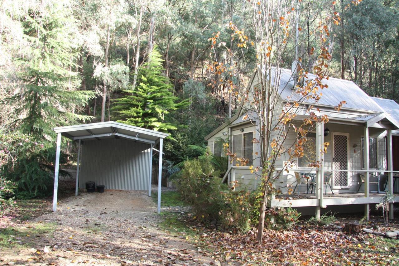 Shady Brook Cottages Harrietville Extérieur photo