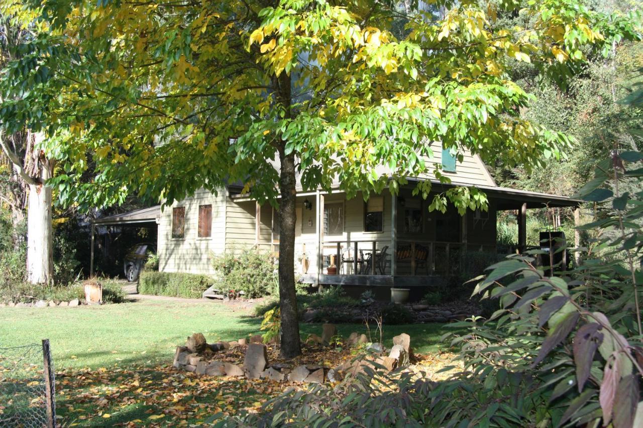 Shady Brook Cottages Harrietville Extérieur photo