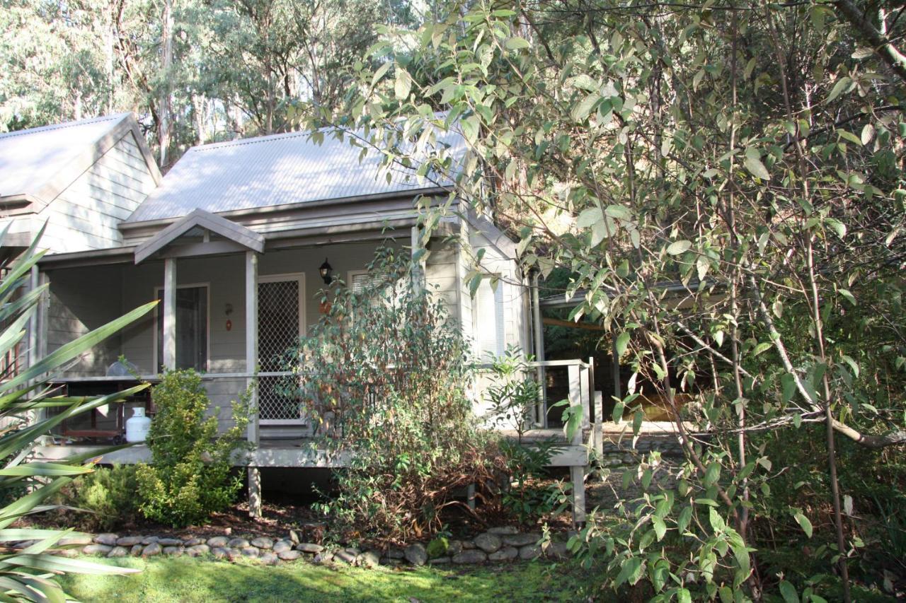Shady Brook Cottages Harrietville Extérieur photo