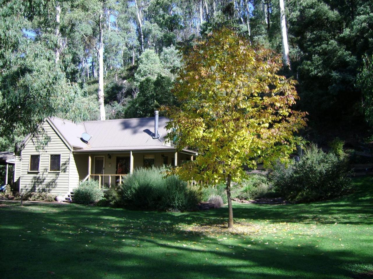 Shady Brook Cottages Harrietville Extérieur photo