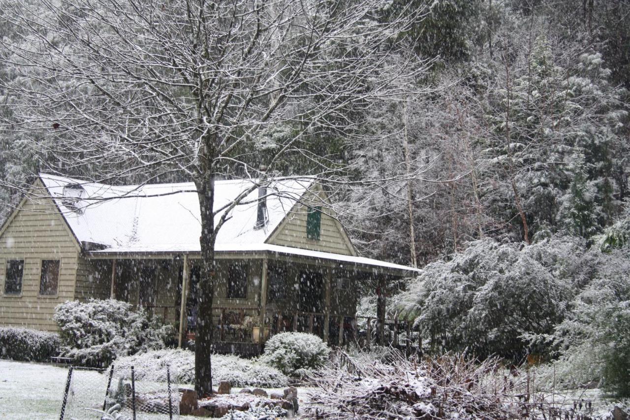 Shady Brook Cottages Harrietville Extérieur photo