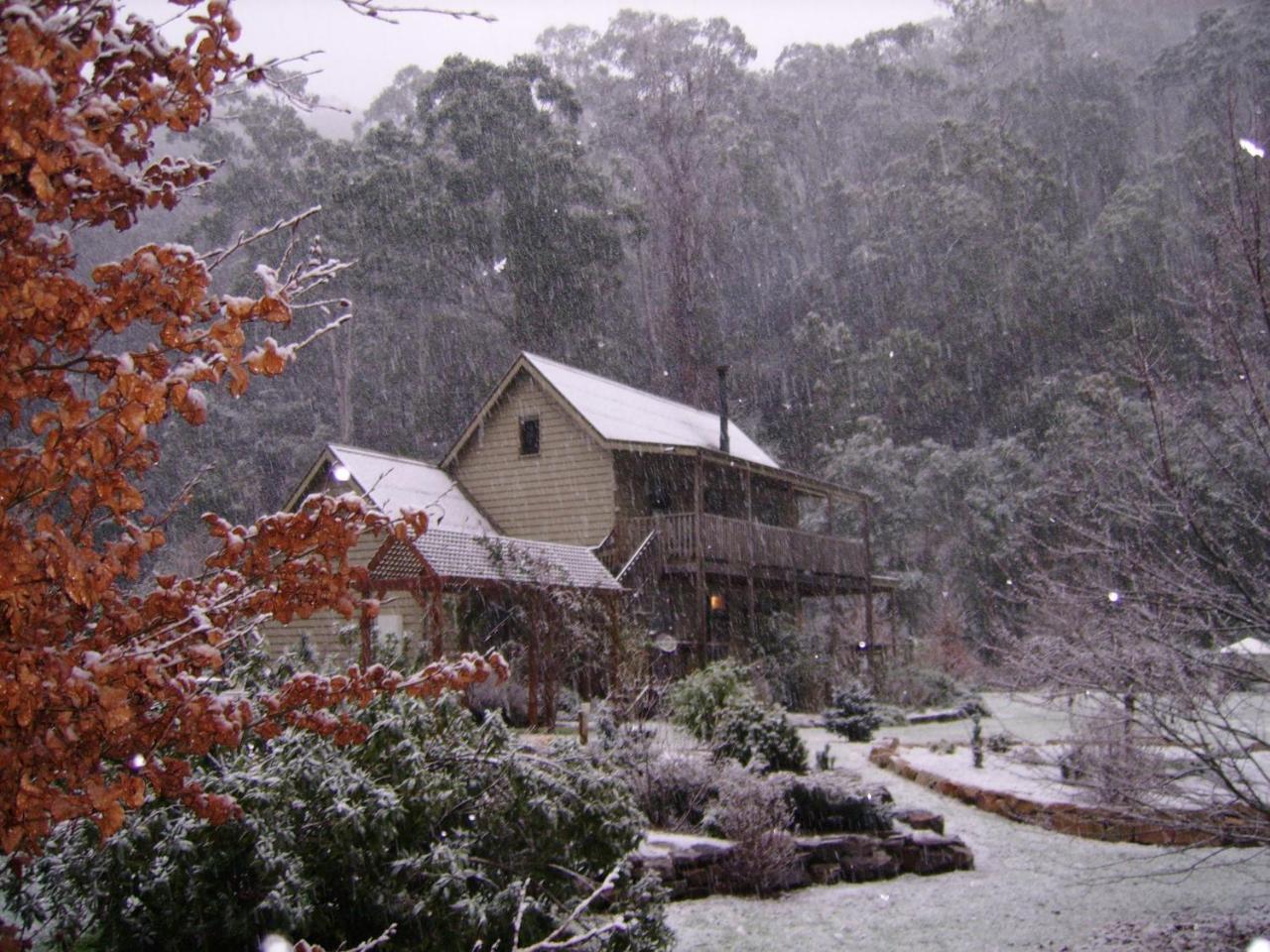 Shady Brook Cottages Harrietville Extérieur photo