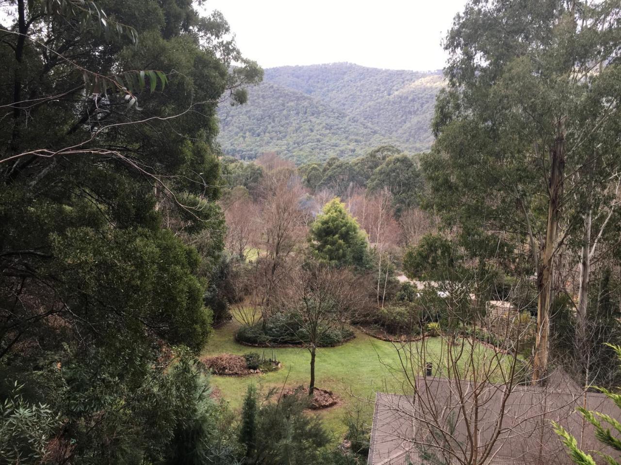 Shady Brook Cottages Harrietville Extérieur photo