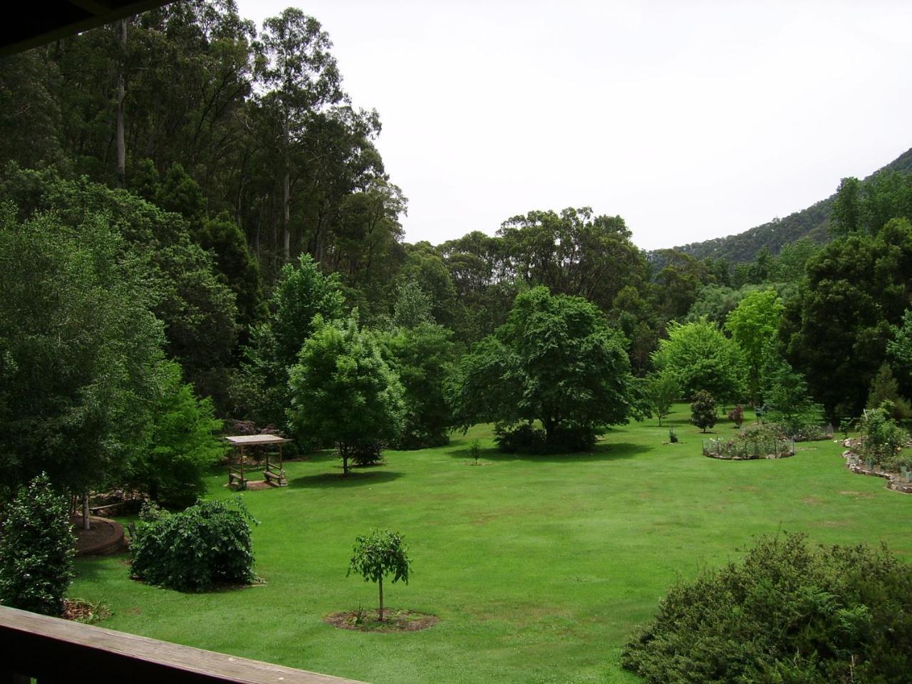Shady Brook Cottages Harrietville Extérieur photo