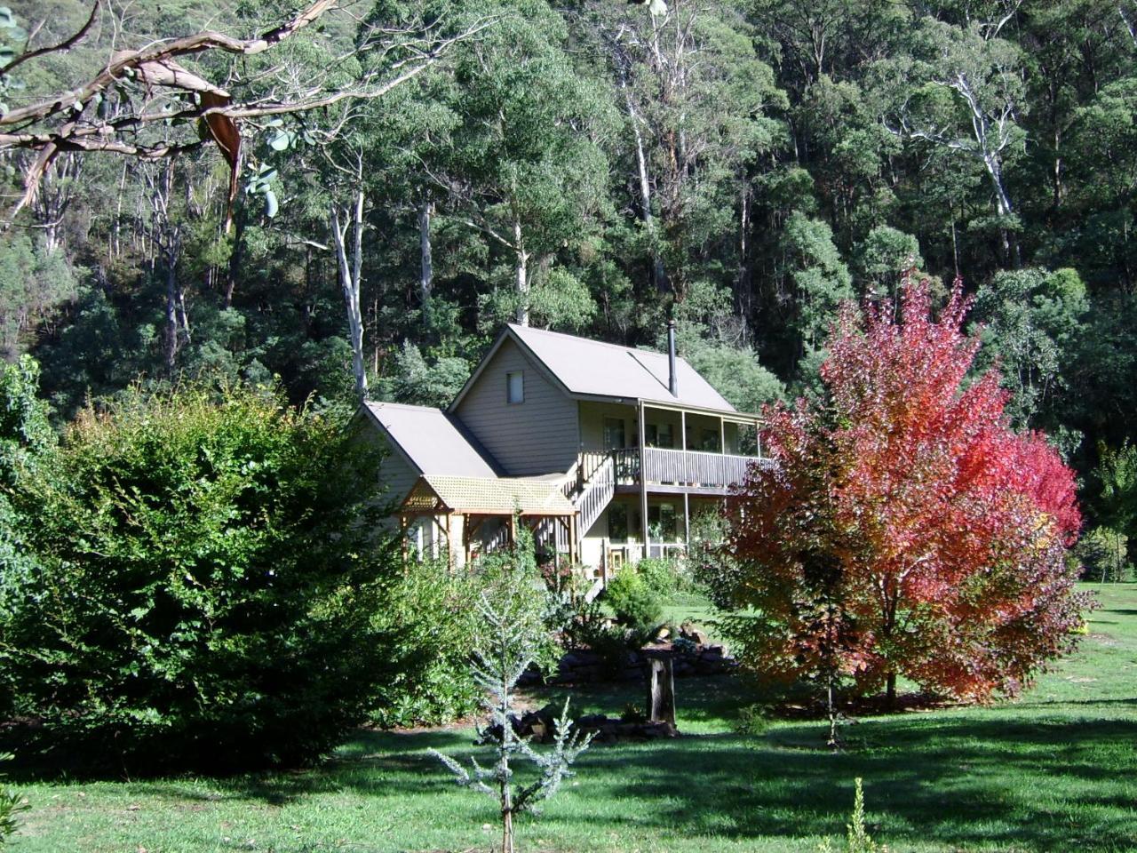 Shady Brook Cottages Harrietville Extérieur photo